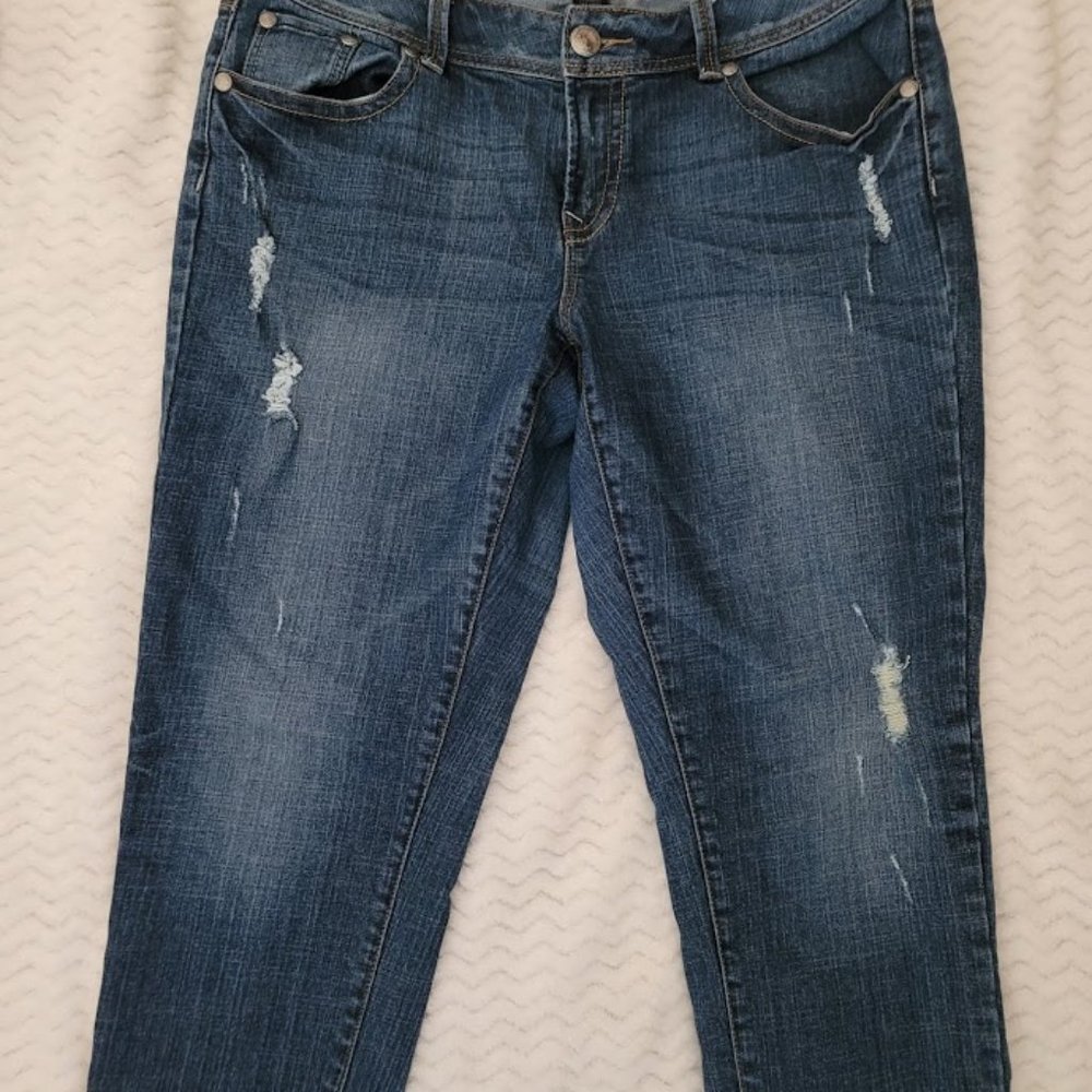Lane Bryant Distressed Jeans sz 16